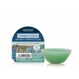 YANKEE CANDLE Duftkerze Aloe & Agave (6.7 cm)
