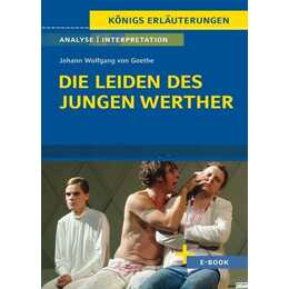 Die Leiden des jungen Werther von Johann Wolfgang von Goethe - Textanalyse und Interpretation
