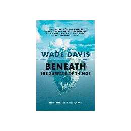Beneath the Surface of Things