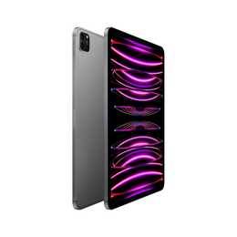 APPLE iPad Pro 11 Wi‑Fi + Cellular 2022 4. Gen. (11