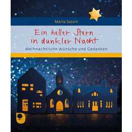 Ein heller Stern in dunkler Nacht