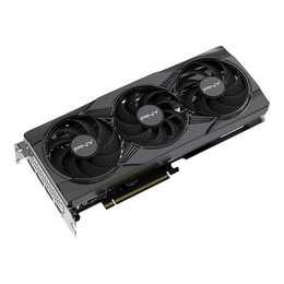 PNY TECHNOLOGIES Epic-X ARGB OC Triple Fan Nvidia GeForce RTX 5060 (8 GB)