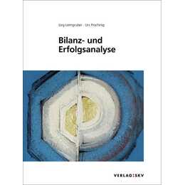 Bilanz- und Erfolgsanalyse