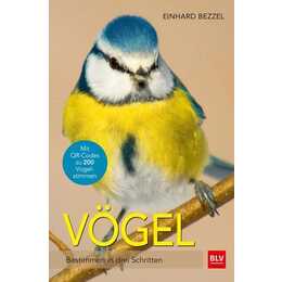 Vögel
