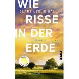 Wie Risse in der Erde