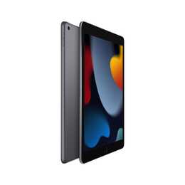 APPLE iPad Wi-Fi 2021 9. Gen. (10.2