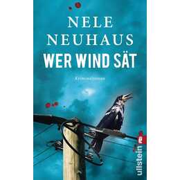 Wer Wind sät