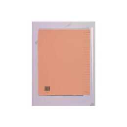 BIELLA Register (26 x A4, Nummerisch)