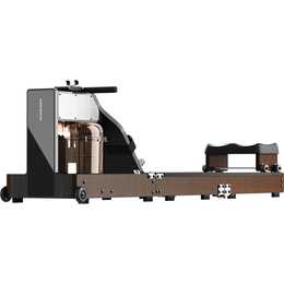 KINGSMITH Rudergerät WM10