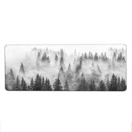 EG Tapis de bureau (Bureau à domicile, Gris)