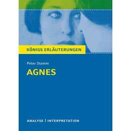 Agnes von Peter Stamm