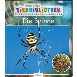 Die Spinne