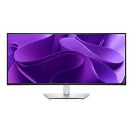DELL Pro 34 Plus P3425WE (34.1", 3440 x 1440, Grau, Schwarz)