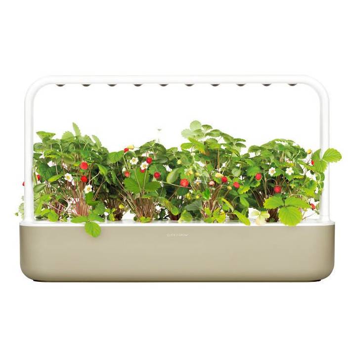 CLICK AND GROW pot d'herbes aromatiques Smart Garden 9