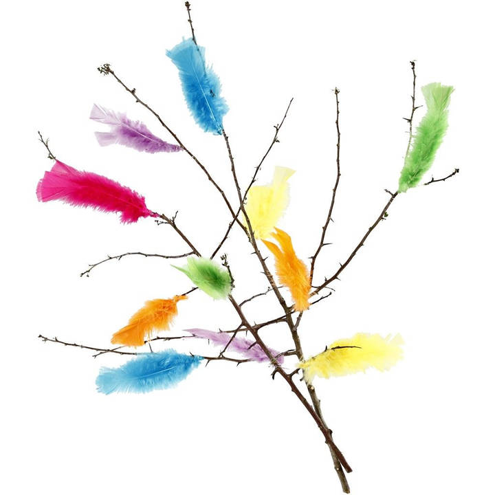 Pennini CREATIV COMPANY, multicolore