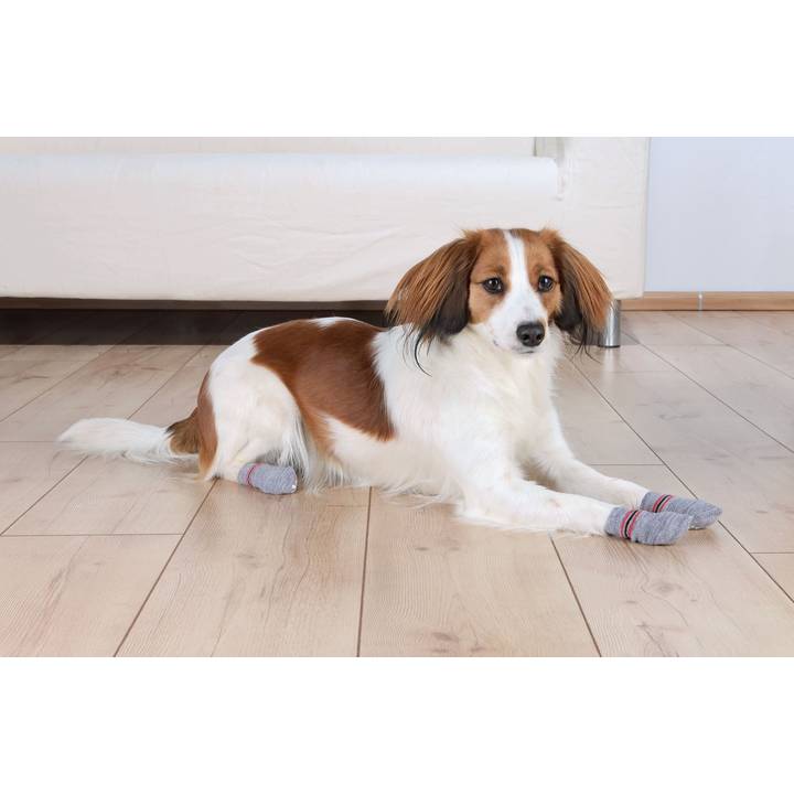 TRIXIE chaussettes pour chien antidérapantes M-L
