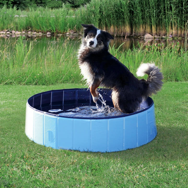TRIXIE piscina per cani Giardino Ø 120 x 30cm
