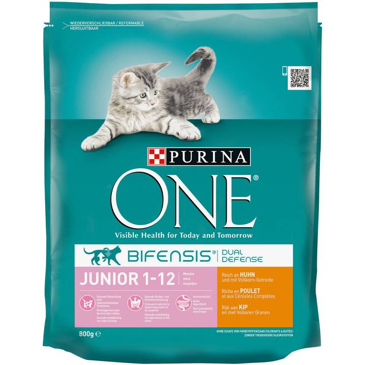 PURINA ONE Junior Poulet & Farine complète 800g