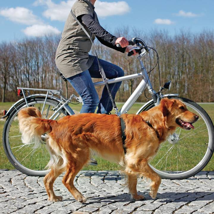 TRIXIE Fahrrad- und Joggingleine Dog Activity 1-2m
