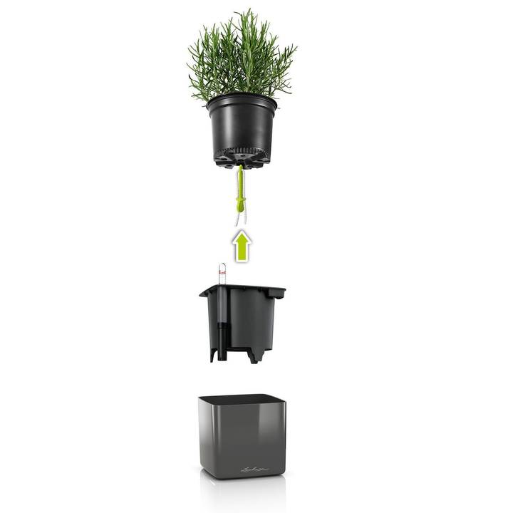 LECHUZA Pot Green Wall Home Kit, Weiss, glanz (48 cm)