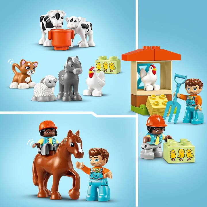 LEGO DUPLO My Town Prendre soin des animaux de la ferme (10416)