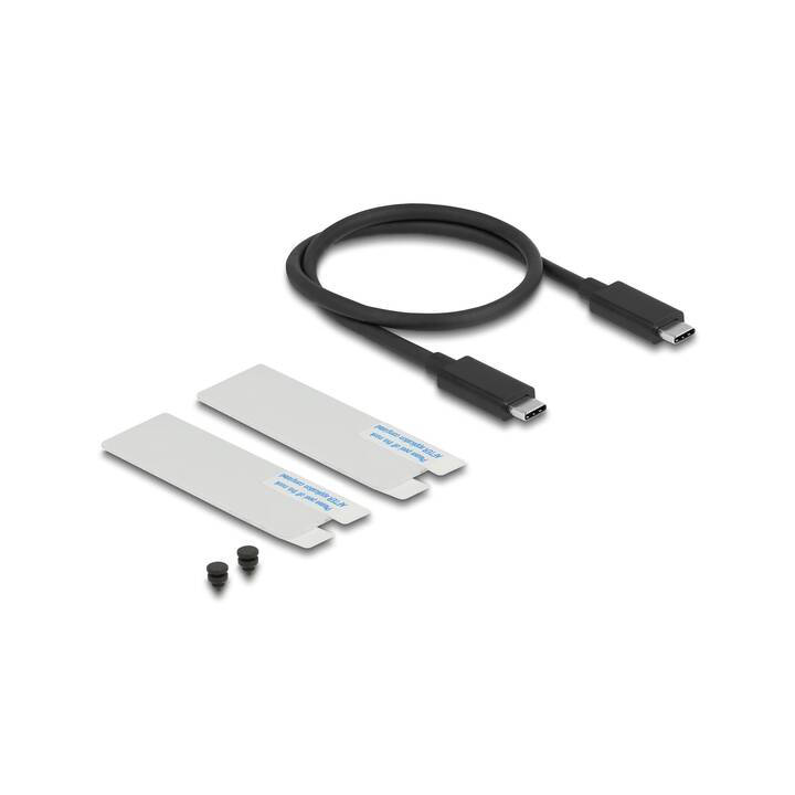 DELOCK Festplattengehäuse (M.2 2280, M.2, Thunderbolt 3, USB 4, USB Typ-C)