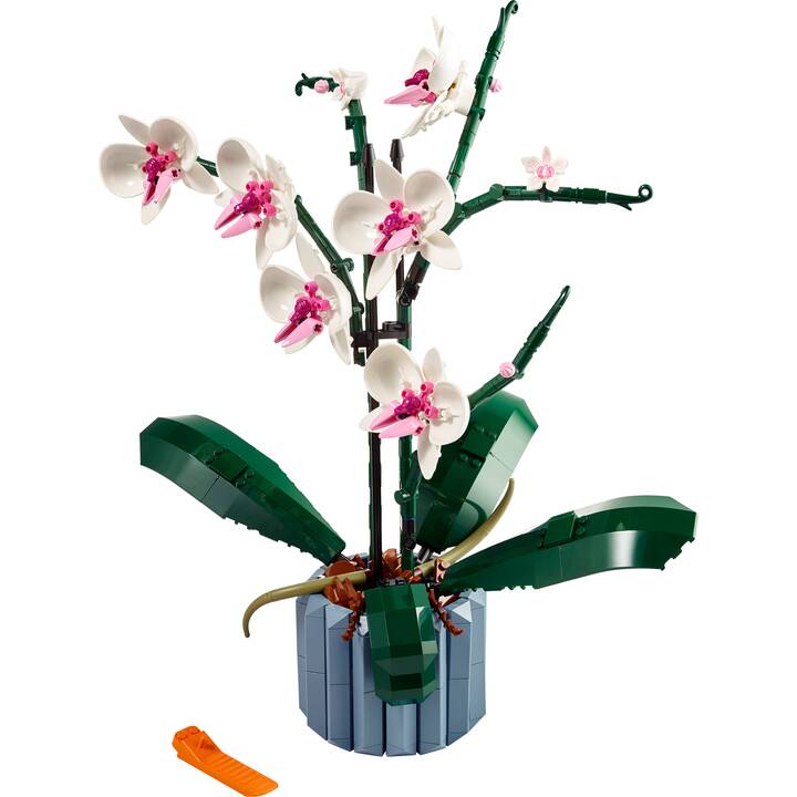 LEGO Icons Orchidee (10311)