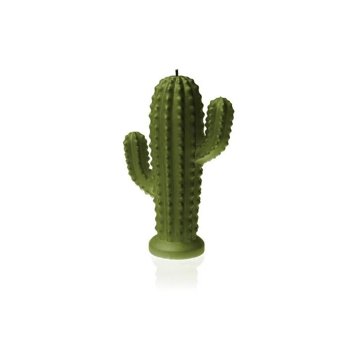 CANDELLANA Candela con motivo Cactus (Verde)