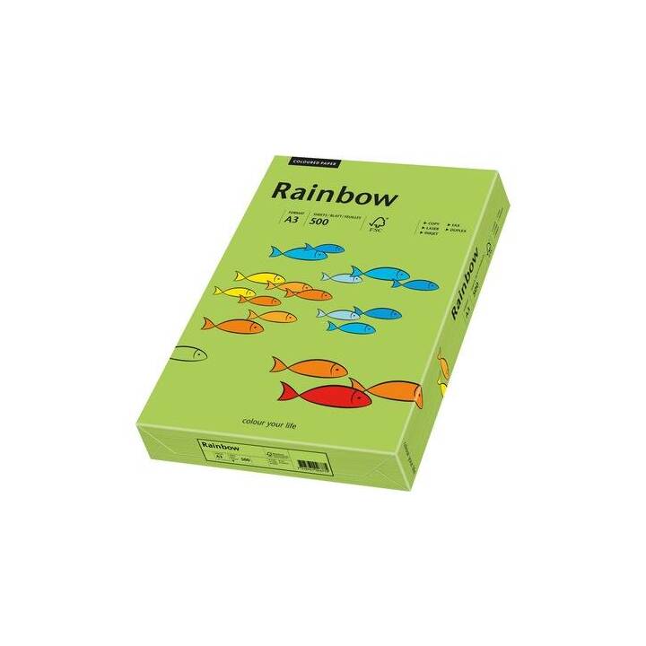 PAPYRUS Rainbow Papier couleur (250 feuille, A3, 120 g/m2)