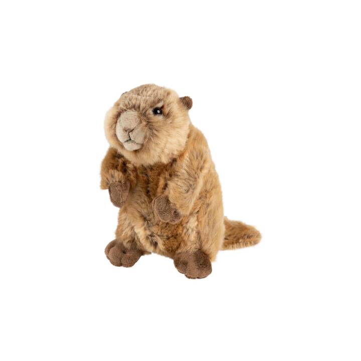 LEO BRUMMBÄR Marmotte (17 cm, Brun)