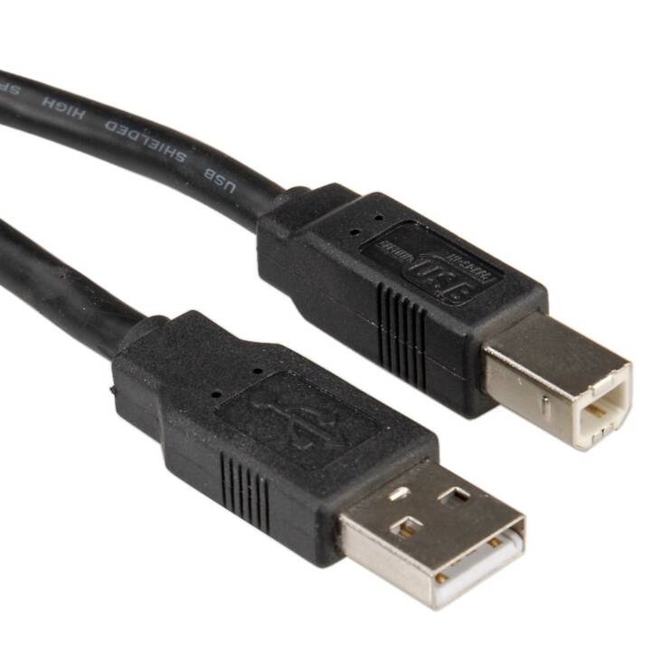 ROTRONIC USB-Kabel (USB 2.0 Typ-B, USB 2.0 Typ-A, 1.8 m)