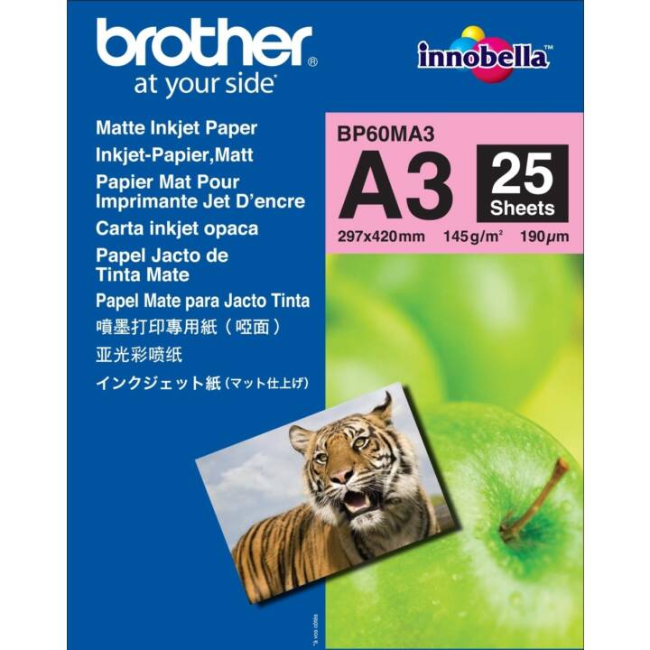 BROTHER Papier photo (25 feuille, A3, 145 g/m2)