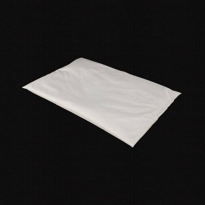 ALBIS Oreiller classique (Beige, Blanc, 60 cm x 40 cm)