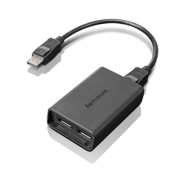 Lenovo USB A DisplayPort Adapter