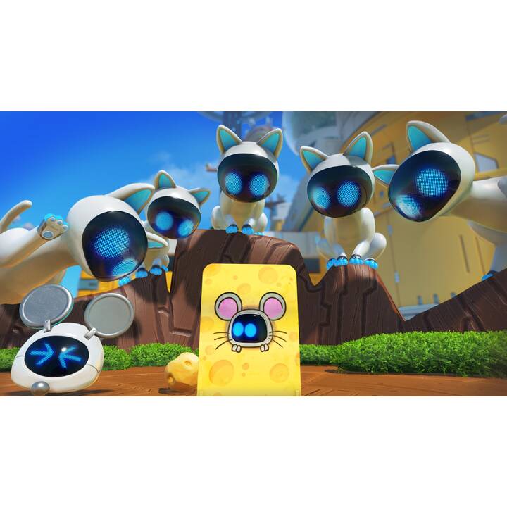 Image du produit 9