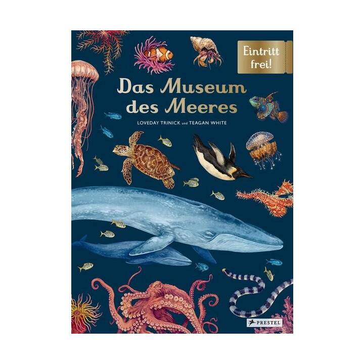 Das Museum des Meeres