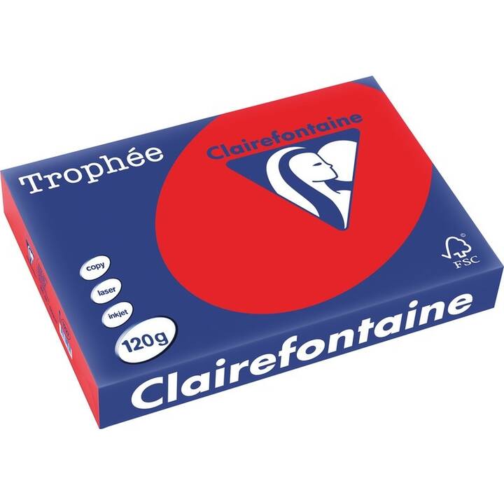 CLAIREFONTAINE Carta per copia (250 foglio, A4, 120 g/m2)