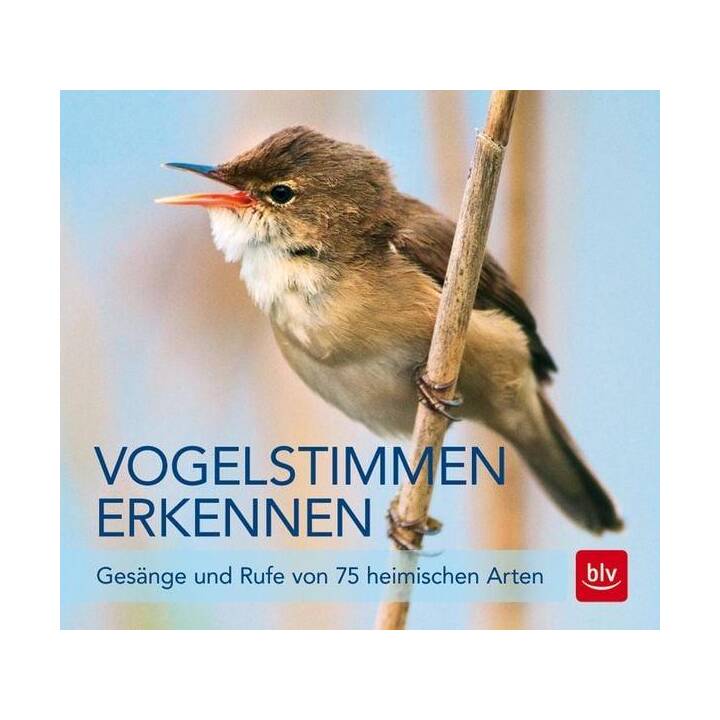 Vogelstimmen erkennen / CD