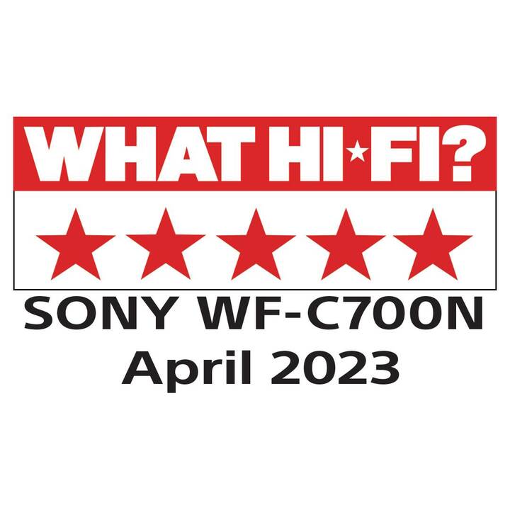 SONY WF-C700N (ANC, Bluetooth 5.2, Violett)