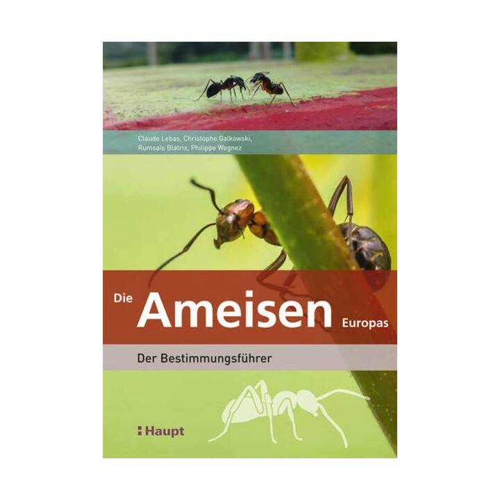 Die Ameisen Europas