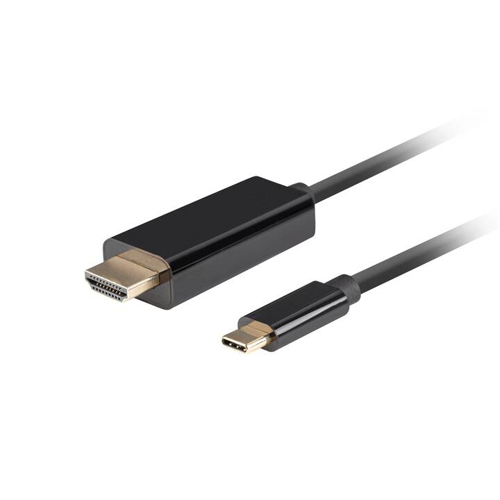 LANBERG Verbindungskabel (USB Typ-C, HDMI Typ-A, 0.5 m)
