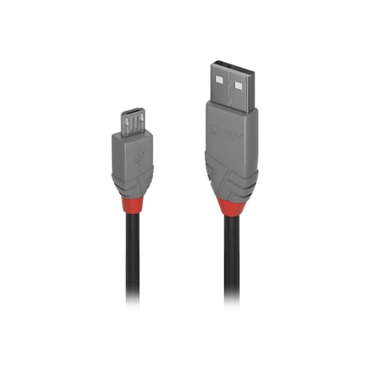LINDY Cavo USB (Micro USB 2.0 Tipo-B, USB 2.0 Tipo-A, 2 m)
