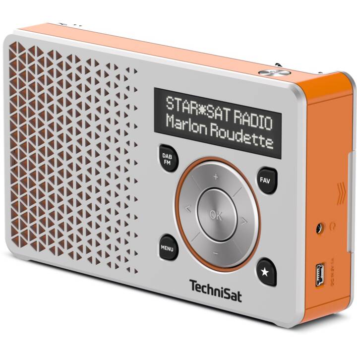 TECHNISAT DigitRadio 1 Radio pour cuisine / -salle de bain (Argent, Orange)