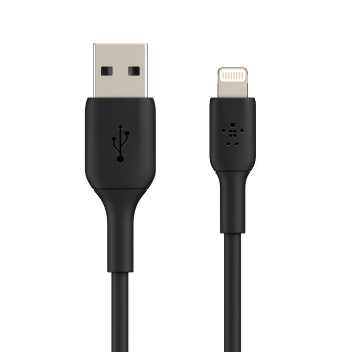 BELKIN Boost Câble (Lightning, USB 2.0 Type-A, 15 cm)
