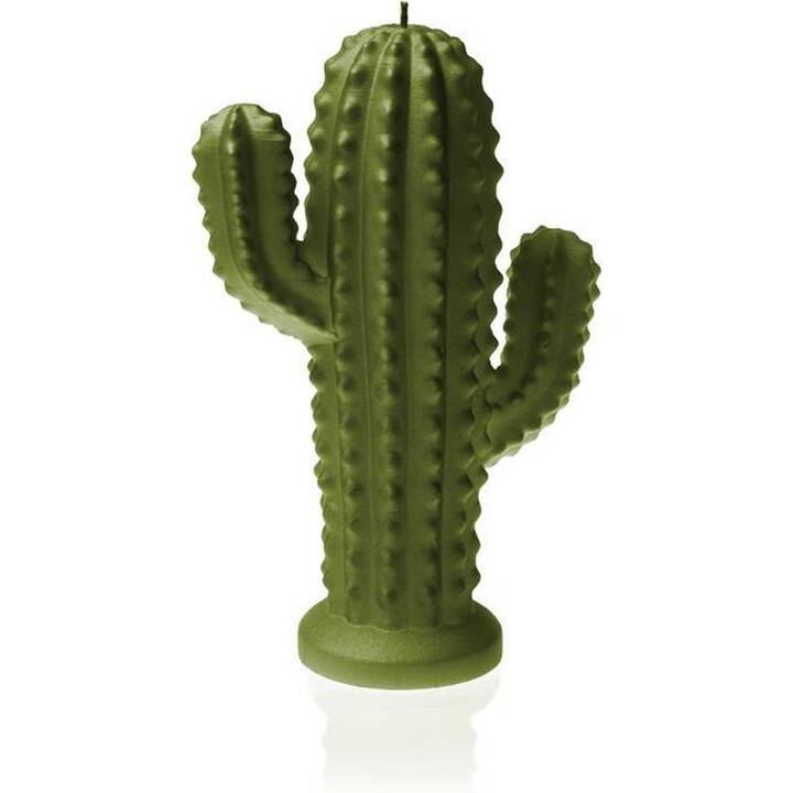 CANDELLANA Candela con motivo Cactus (Verde)