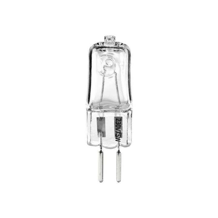WALIMEX Lampada alogena pro (GU5.3, 900 lm, 75 W)