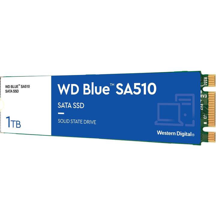 WESTERN DIGITAL WDS100T3B0B (SATA-III, 1000 GB)