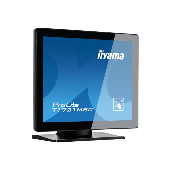 IIYAMA ProLite T1721MSC-B1 (17", LCD)