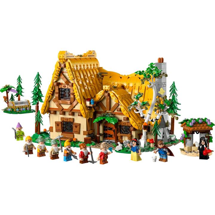 LEGO Disney Die Hütte von Schneewittchen und den sieben Zwergen (43242, seltenes Set)