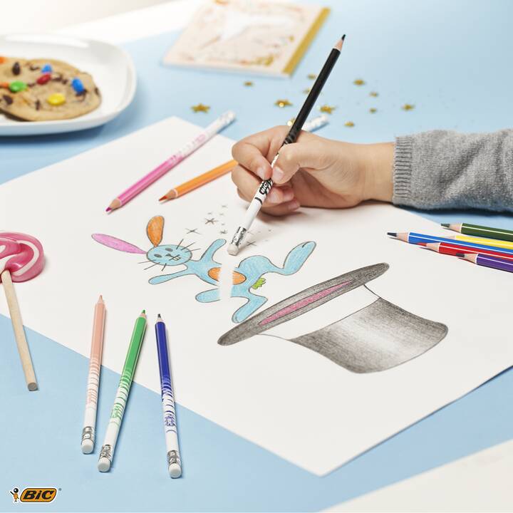 BIC Crayons de couleur Evolution (Multicolore, 12 pièce)